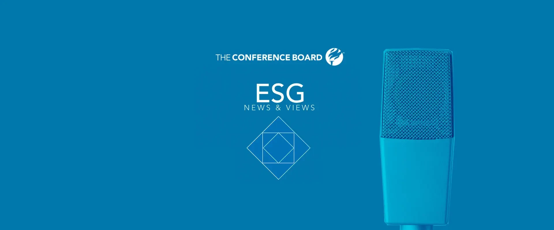 ESG NEWS AND VIEWS PODCAST SERIES: Director-Shareholder Engagement