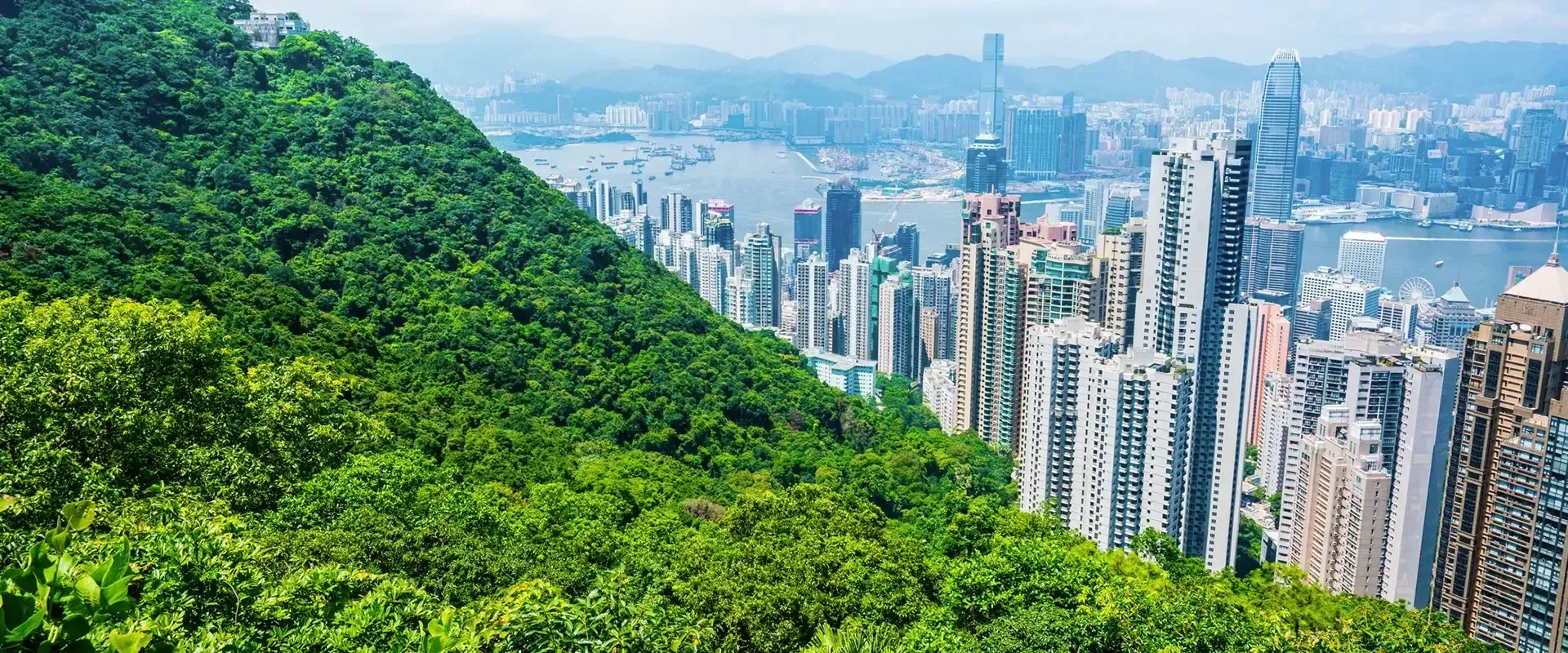 ESG A GROWING FOCUS FOR HONG KONG COMPANIES